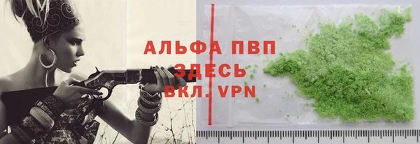 шишки Туринск