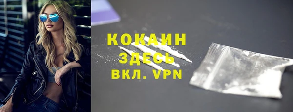 шишки Туринск