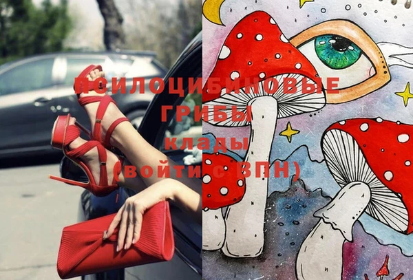 дмт Тында
