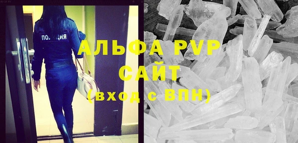 шишки Туринск