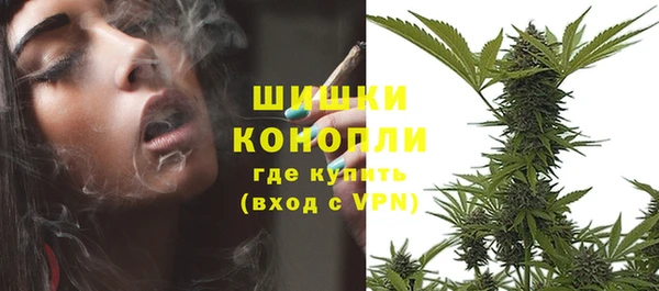 дмт Тында