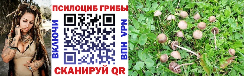 Галлюциногенные грибы MAGIC MUSHROOMS  Валуйки 